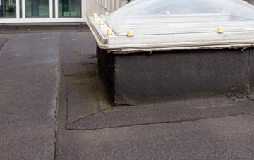 disadvantages of Thorndon flat roofs