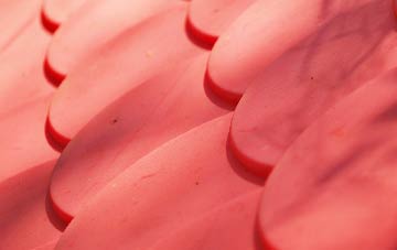 Thorndon plastic roof costs