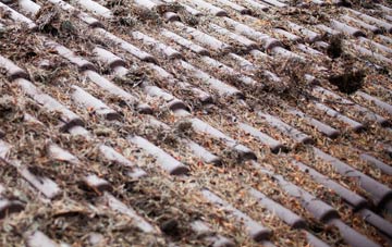 Thorndon roof cleaning companies